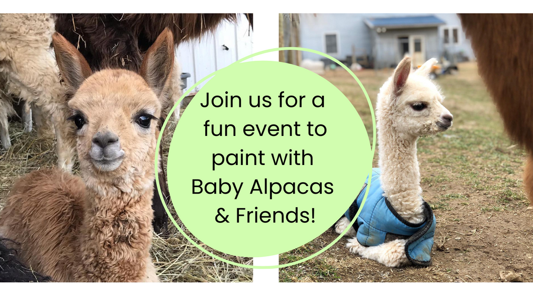 Baby Alpaca & Friends Pottery