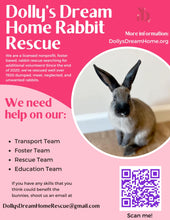 Load image into Gallery viewer, Painting with Bunnies to Support Dolly&#39;s Dream Home Rabbit Rescue
