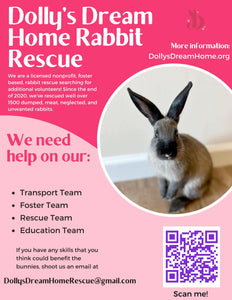 Painting with Bunnies Fundraiser - Main Image